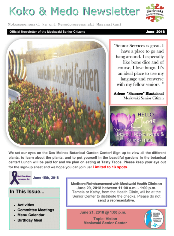 Koko & Medo Newsletter