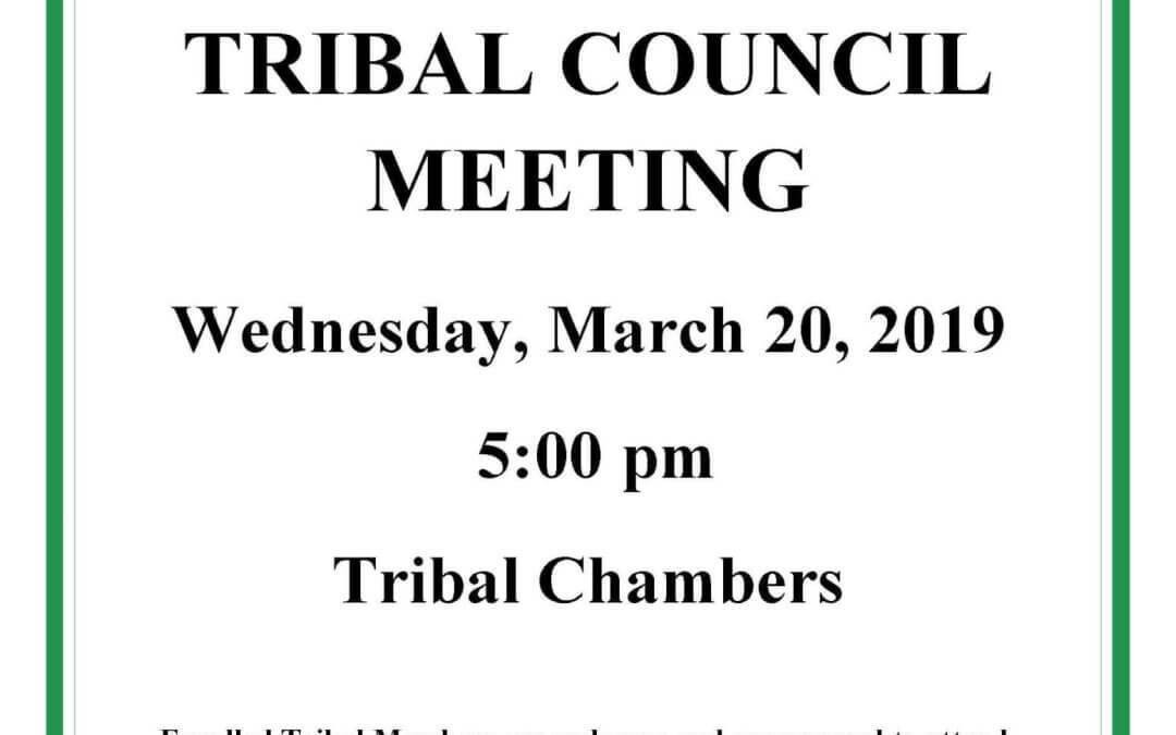 Reminder: Tribal Council Meeting Today