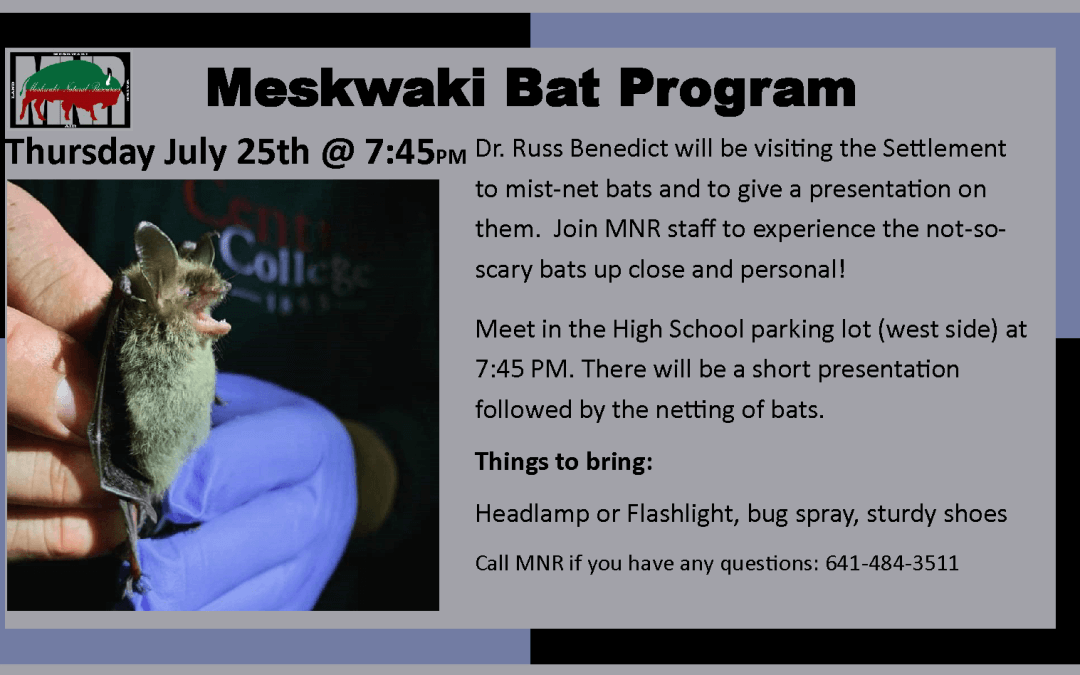 Tonight: Bat Presentation