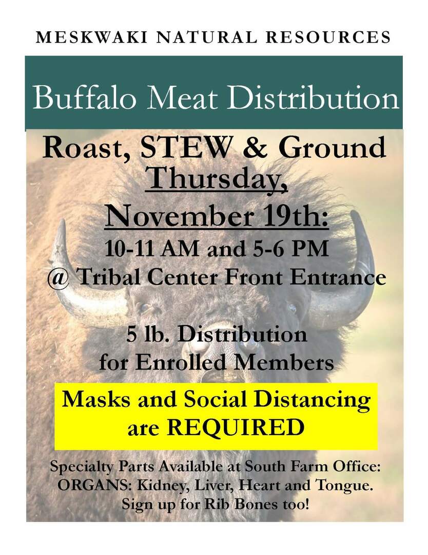 MNR – Buffalo Meat Distribution 11.19.20