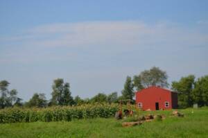 Barn and field at Red Earth Gardens