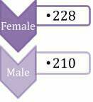 Youth Services_who we serve_gender