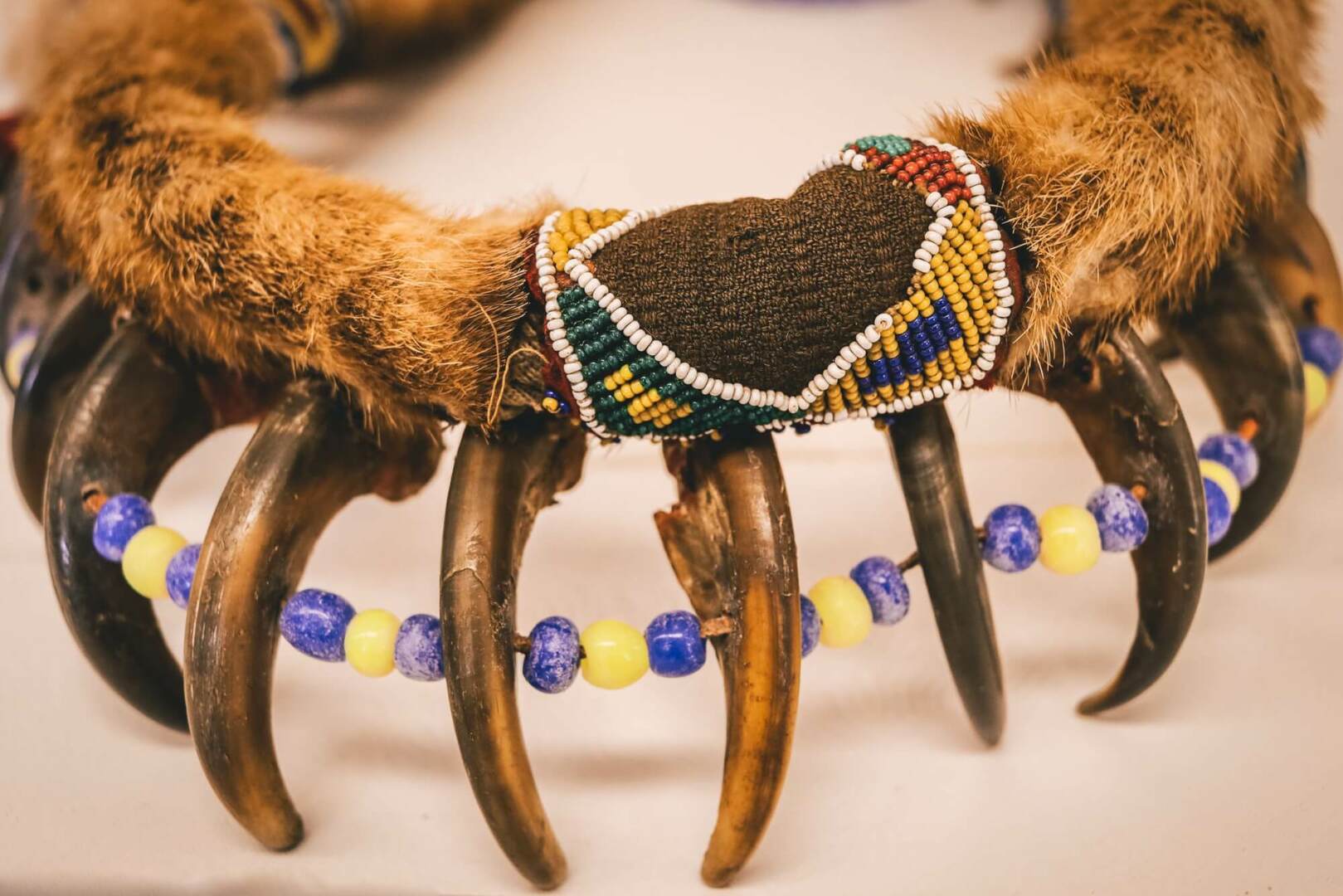 Close up of a beaded headdress with bear claws