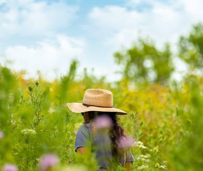 Plant Identification with Linda Black Elk