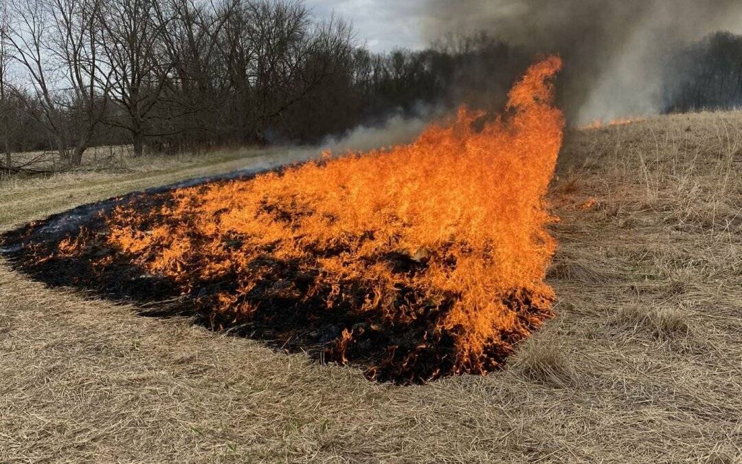 Prescribed Burn Season:  Contact MNR to be added to the Burn List