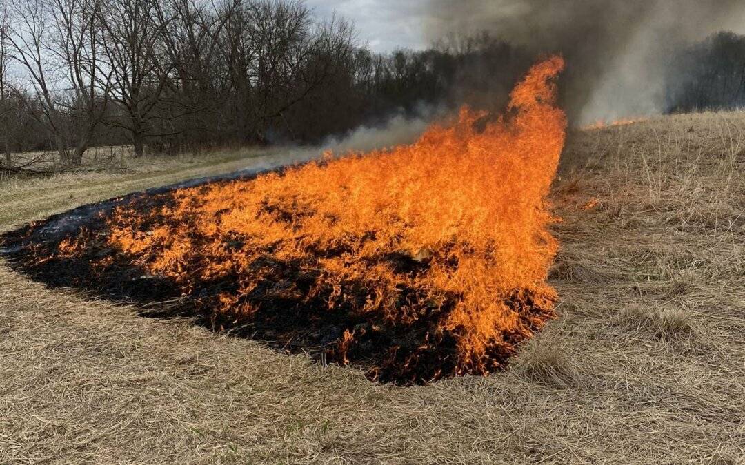 Prescribed Burn Season:  Contact MNR to be added to the Burn List