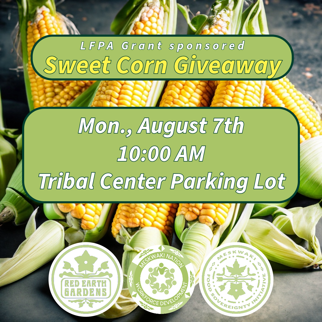 Sweet Corn Giveaway
