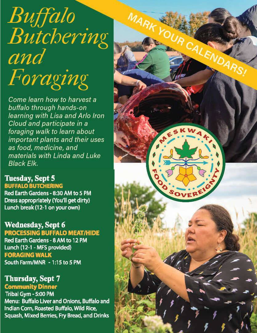 Buffalo  Butchering & Foraging Event