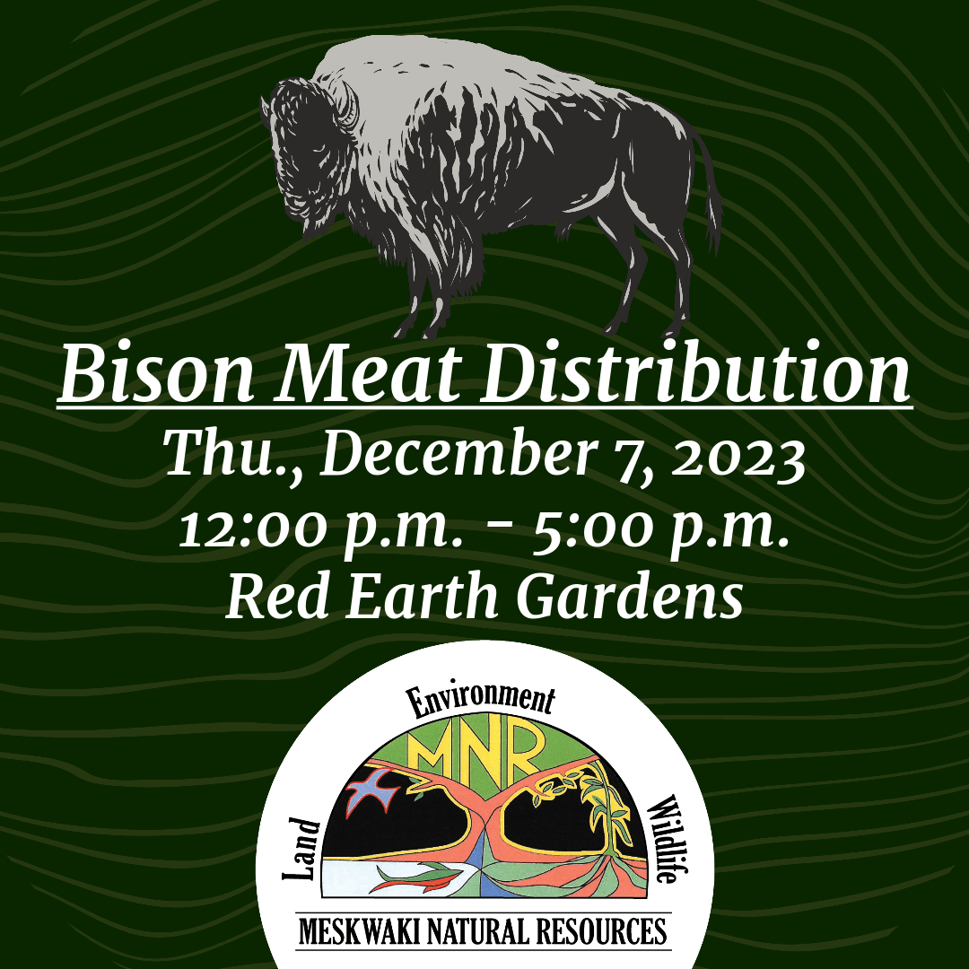 MNR Bison Meat Distribution to be held 12/07 at Red Earth Gardens