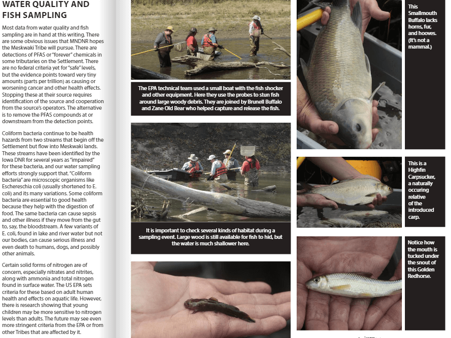 Water Quality and Fish Sampling from MNR