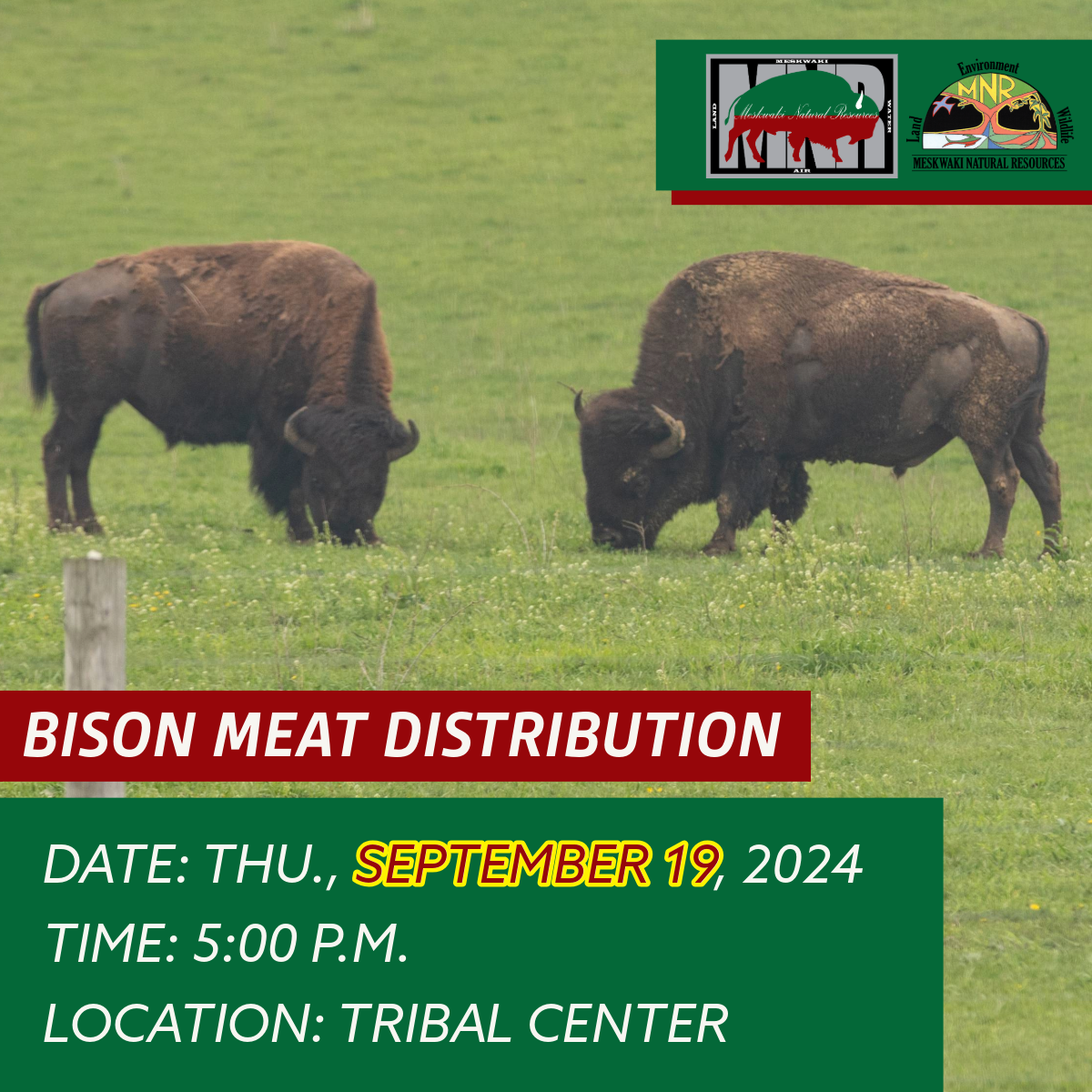 MNR to hold Bison Meat Distribution on September 19, 2024