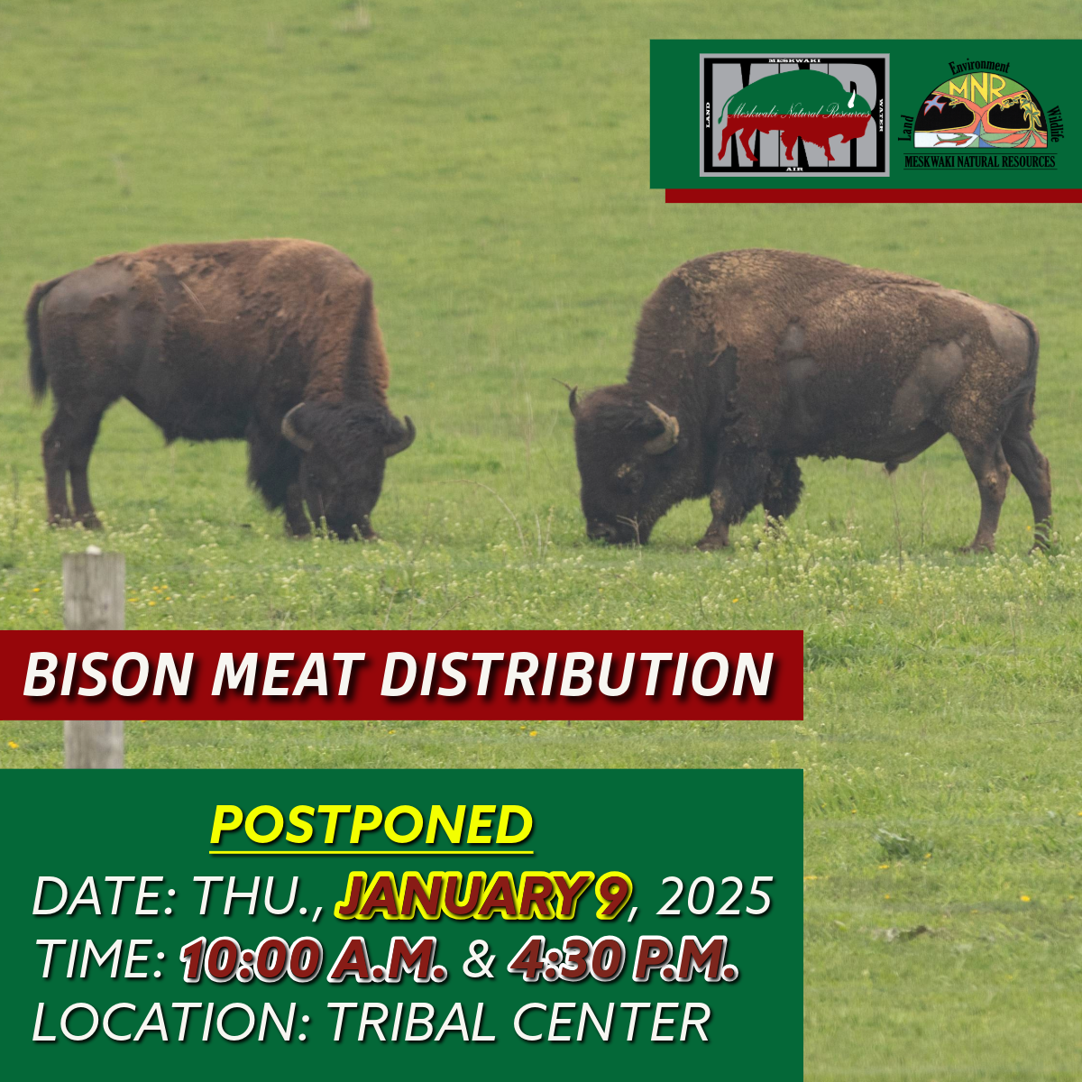 MNR Bison Meat Distribution Postponed to January 9, 2025