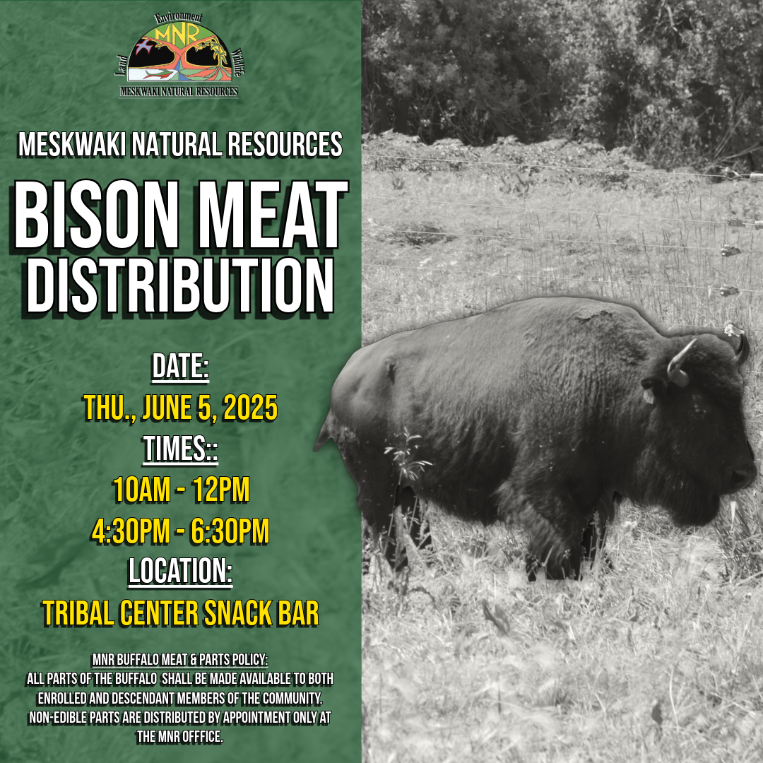 MNR Bison Meat Distribution to be held June 5