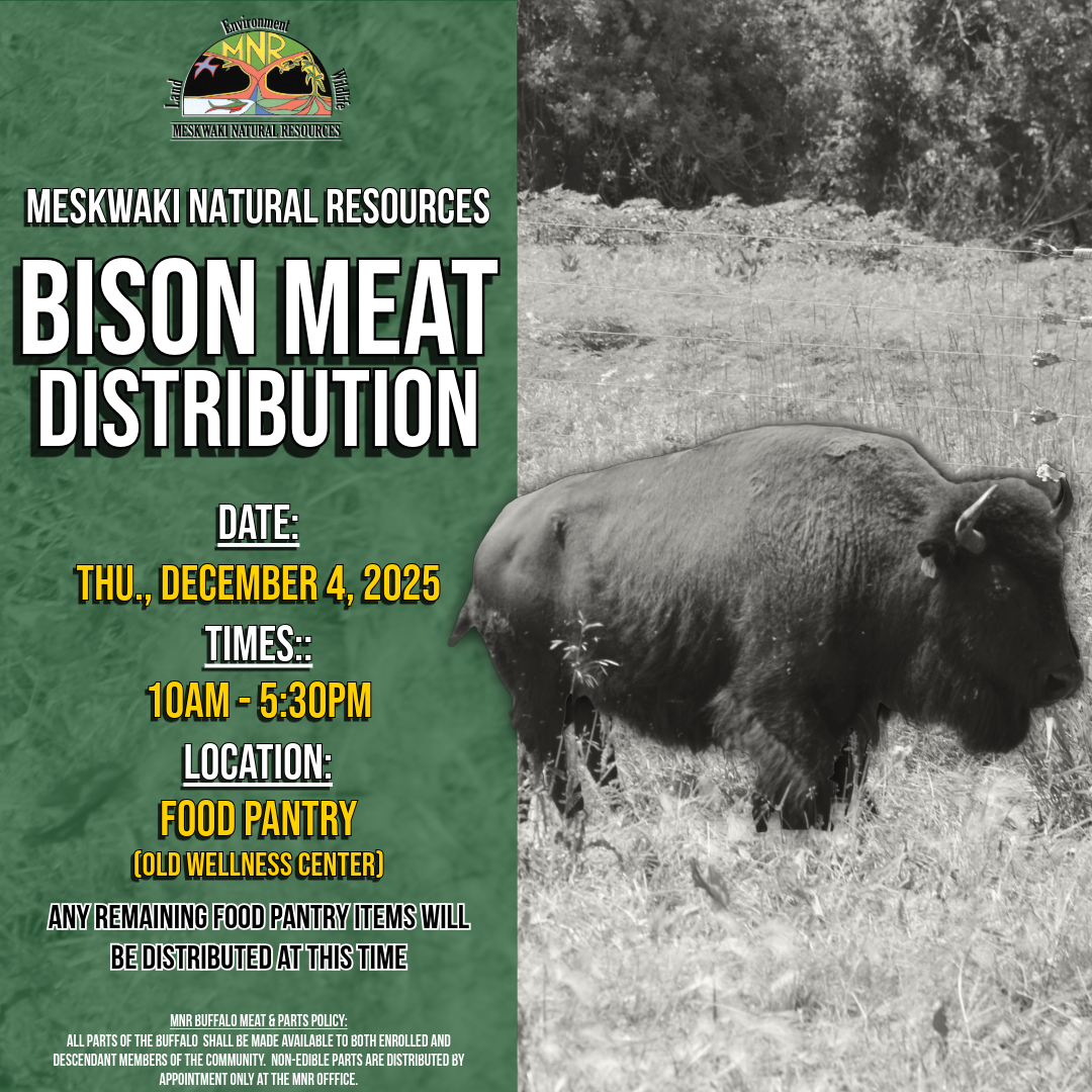 MNR to hold a Bison Meat Distribution on December 4