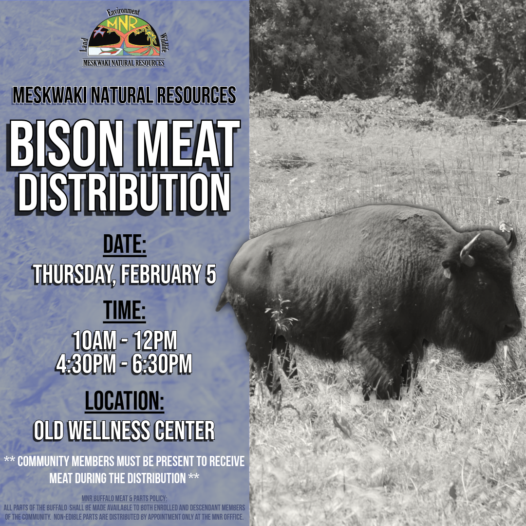 MNR to hold Bison Meat Distribution on February 5