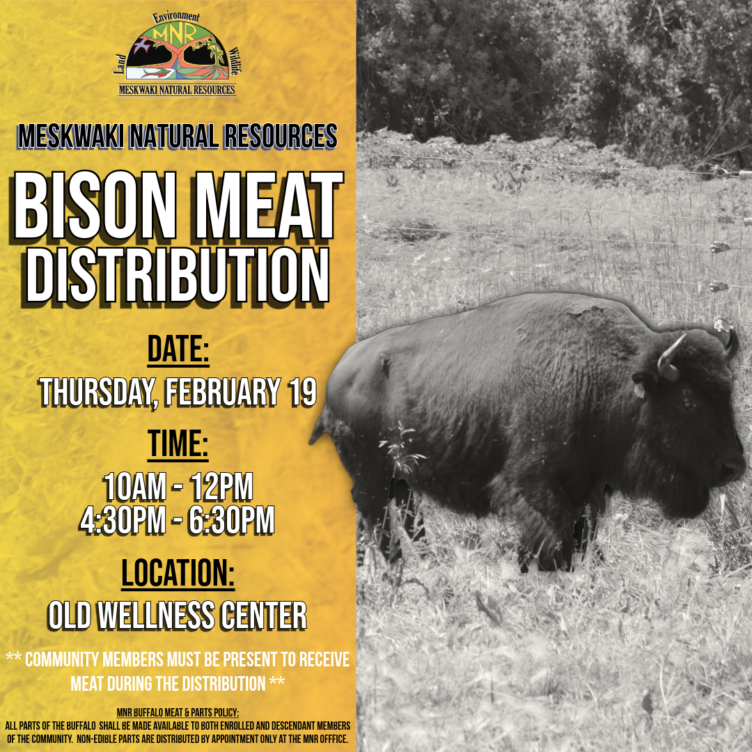 MNR Bison Meat Distribution to be held on February 19