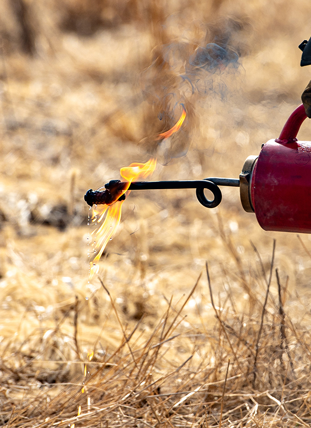MNR Prescribed Burns