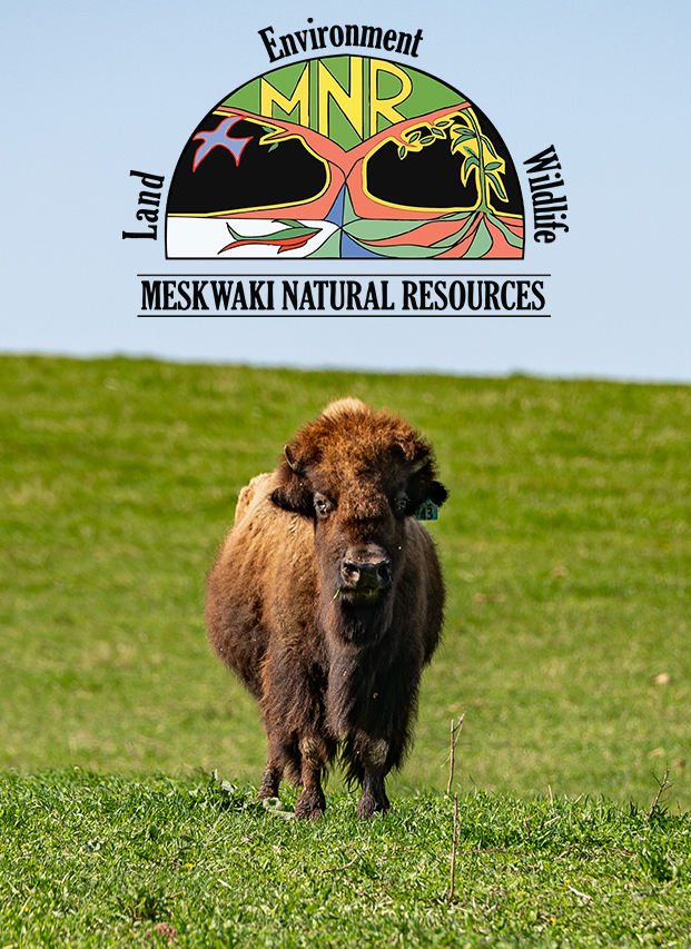 MNR Earth Day Open House