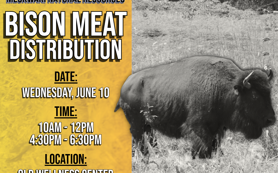 MNR to hold Bison Meat Distribution on June 10