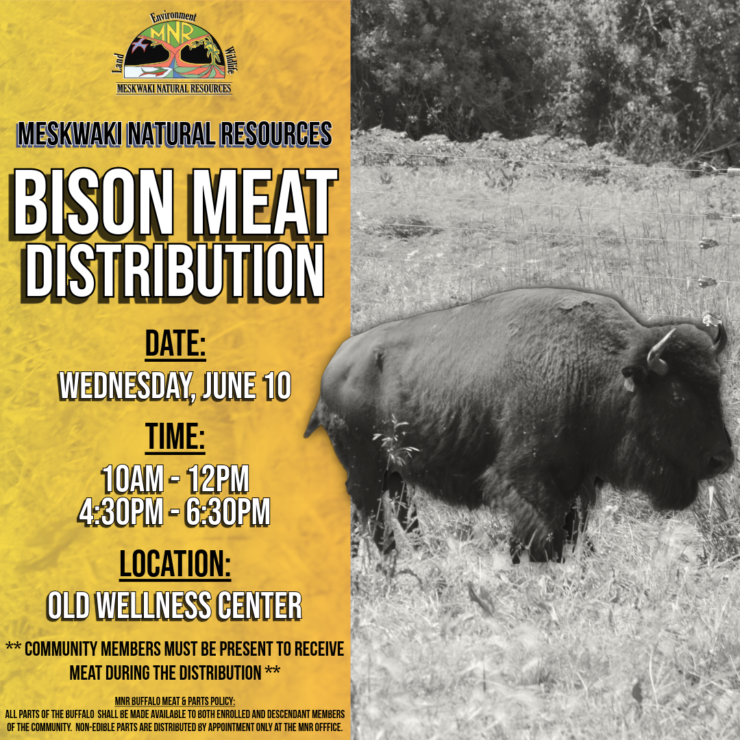 MNR to hold Bison Meat Distribution on June 10