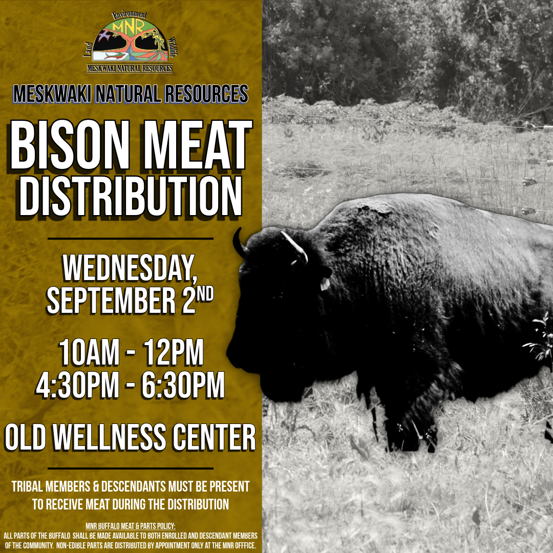 MNR Bison Meat Distribution to be held September 2