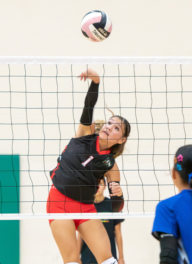 Lady Warriors Sweep the Spartans!